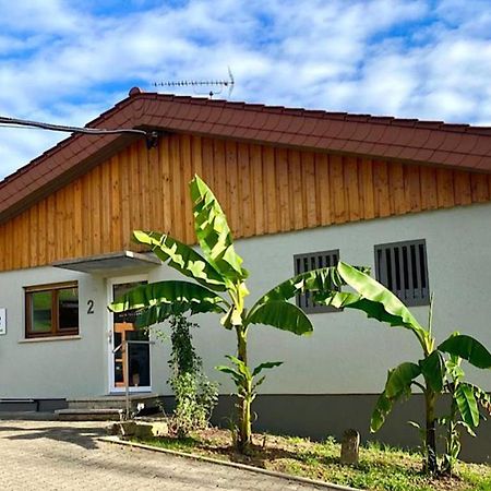 Pension Am Hohberghof Dielheim Екстериор снимка