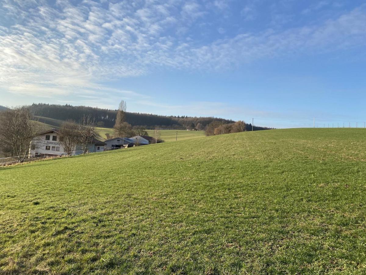 Pension Am Hohberghof Dielheim Екстериор снимка