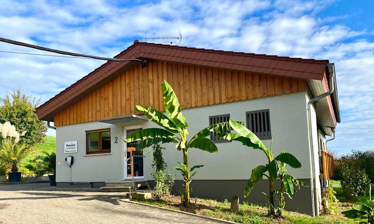 Pension Am Hohberghof Dielheim Екстериор снимка